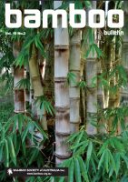 Bamboo Bulletin Nov 2017