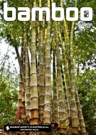 Bamboo Bulletin – Volume 22