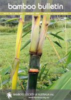 Bamboo Bulletin May 2010
