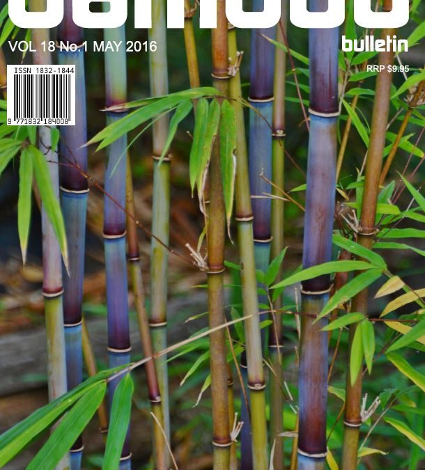 Bamboo Bulletin May 2016