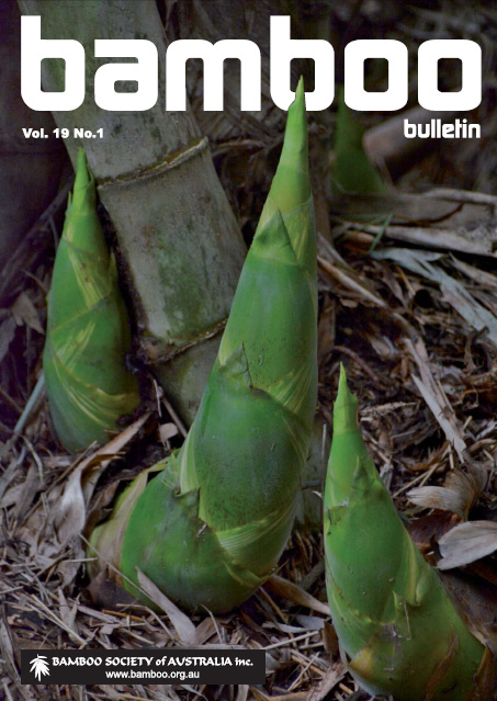 Bamboo Bulletin July 2017
