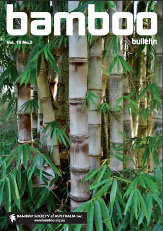 Bamboo Bulletin Nov 2017