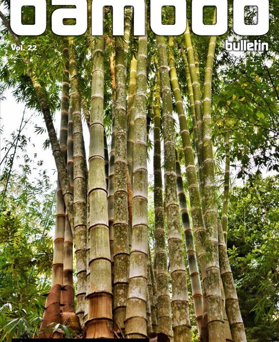 BAMBOO BULLETIN Volume 22 Available to members